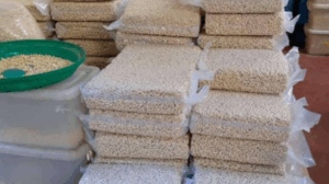 Untitled design (67)